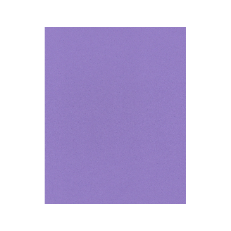 FOAM LISO 60X90CM LILA10 H