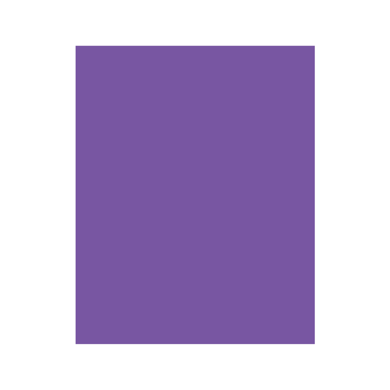PAPEL BOND VIOLETA 75grs 25 H.