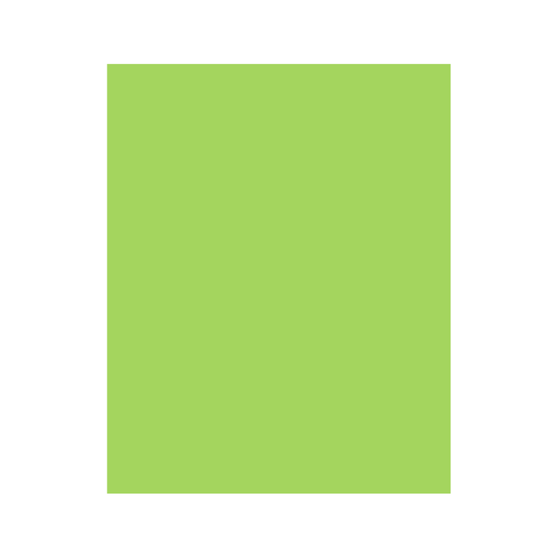 CARTULINA VERDE ARTES MANUALES 220 GRS 25 H (copia)
