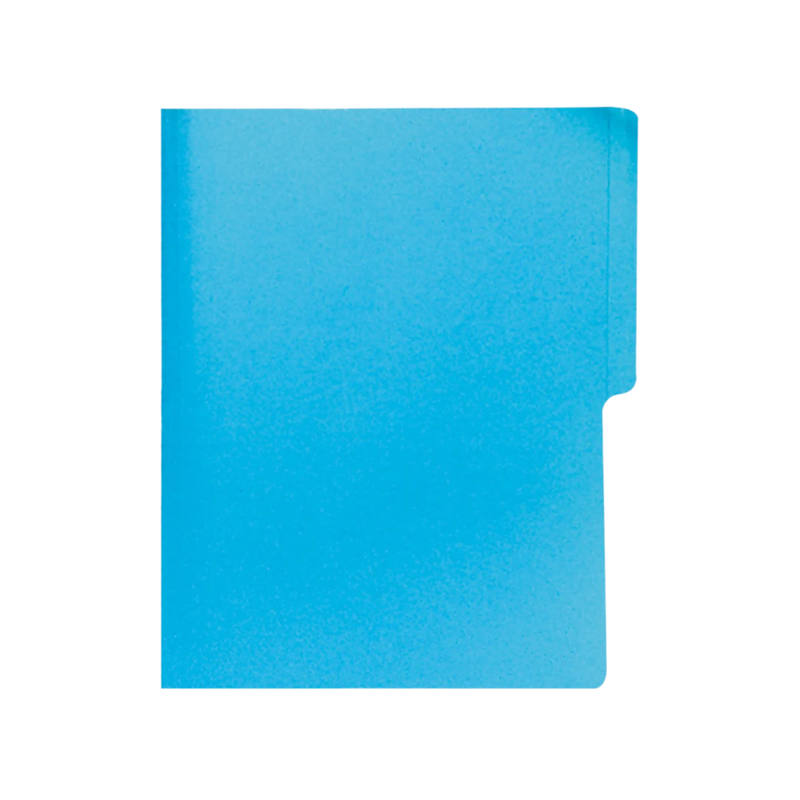 FOLDER MANILA FLASHFILE CELESTE IRASA T/C (CJ100)