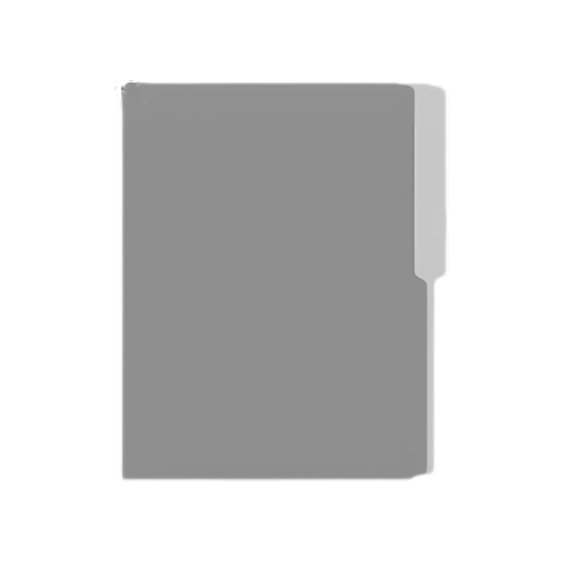 FOLDER MANILA FLASHFILE GRIS IRASA T/C (CJ100)