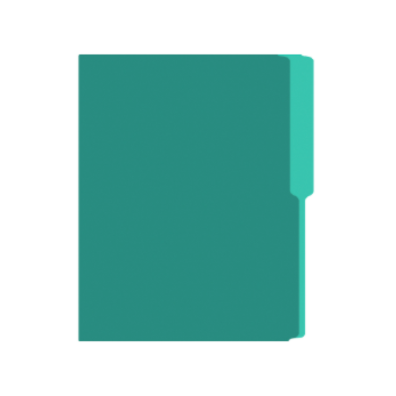 FOLDER MANILA FLASHFILE VERDE AQUA IRASA T/C (CJ100)