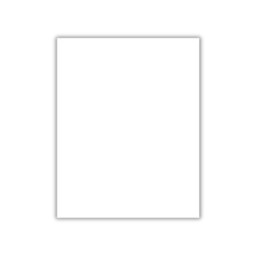 [OF-001] CARTULINA BRISTOL BLANCA T/CARTA (PAQ 100)