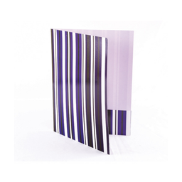 [9791] CARPETA EJECUTIVA BARNIZADA 12 UND