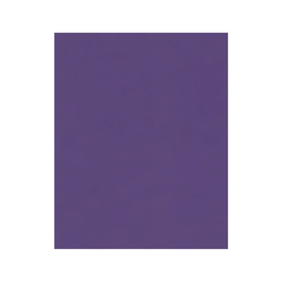 [OFF-57M] FOAM LISO 50X70CM MORADO 10H