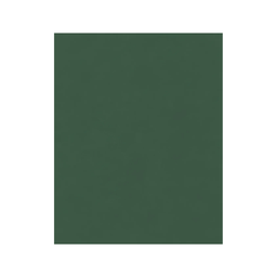 [OFF-57VO] FOAM LISO 50X70CM VERDE OSCURO 10H