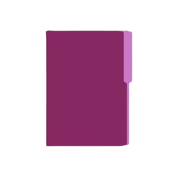 [122-067VI] FOLDER MANILA FLASHFILE VIOLETA IRASA T/C (CJ100)